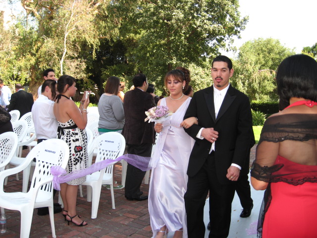 617x456 pixels (158K)